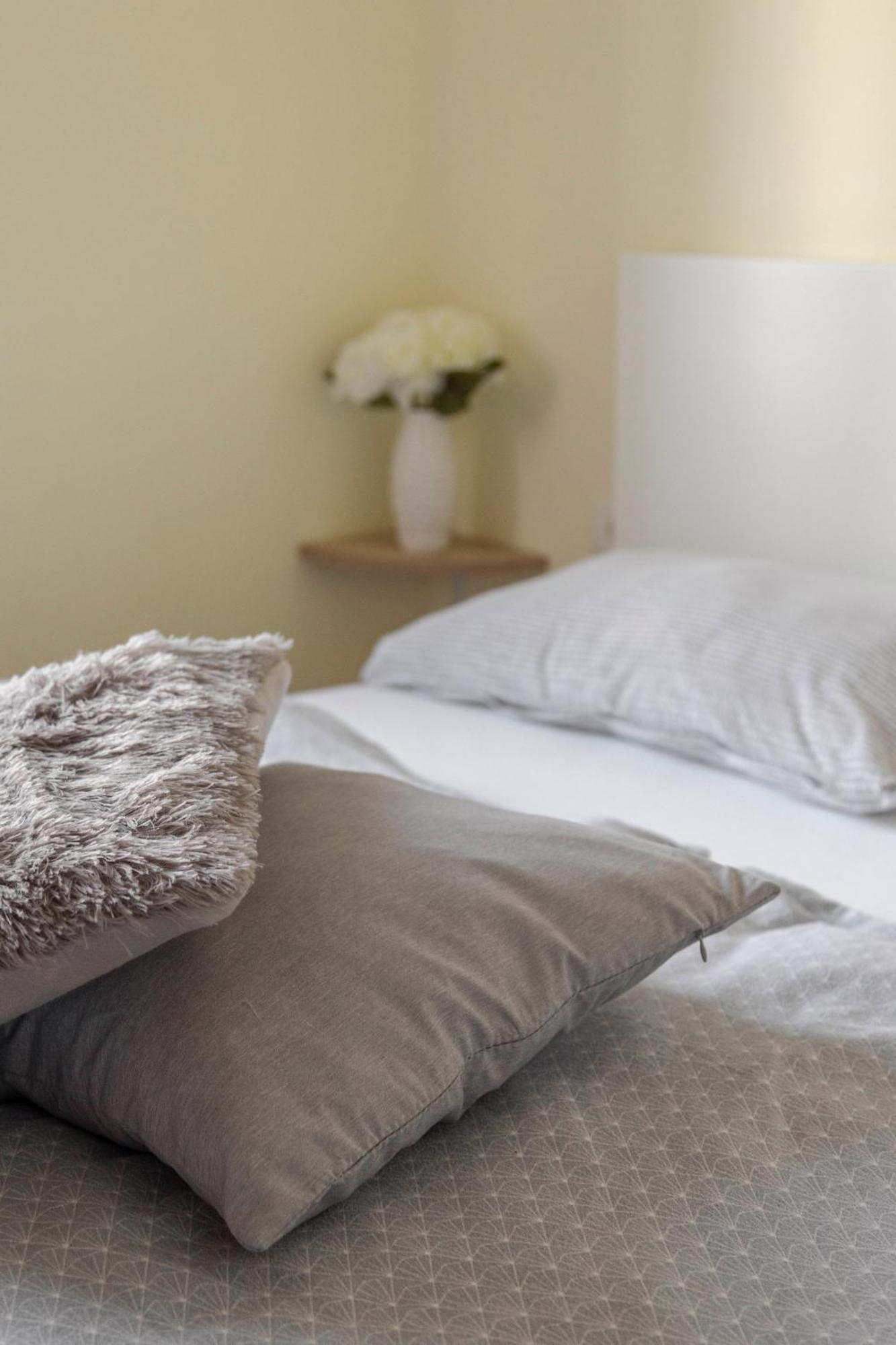 Apartma Vesna 科佩尔 外观 照片